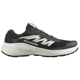 Alphaglide - кроссовки для бега по пересеченной местности Salomon, мультиколор 022-1309 | black / phantom / icicle