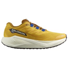 Aero Blaze 3 grvl - кроссовки для бега Salomon, мультиколор 023-2525 | spicy mustard / vanilla ice / nautical blue