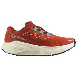 Женские кроссовки Aero Blaze 3 Grvl Salomon, мультиколор 123-2184 | burnt ochre / vanilla ice