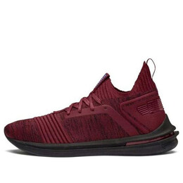 Кроссовки ignite limitless sr evoknit low top running shoes red Puma, красный 190484-08 | red