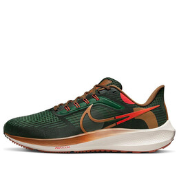 Кроссовки hola lou x air zoom pegasus 39 Nike, зеленый do9500-300 | green/brown