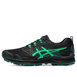 Кроссовки гелевые fujisetsu 3 gtx Asics, черный 1011a972-002 | black/new leaf