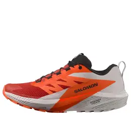 Кроссовки Salomon Sense Ride 5 'Orange' 470462 / l47046200