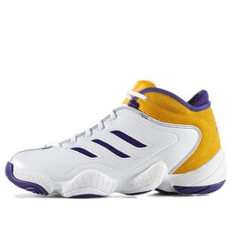 Кроссовки Adidas Crazy III, белый b72770 | white/gold/purple