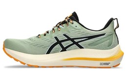 Кроссовки Asics GT-2000 12 Мужчины, Бежевый/Зеленый 1011b775-250 | beige/green