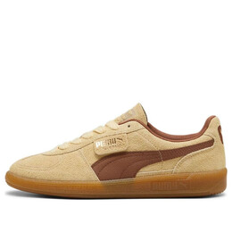 Кроссовки palermo 'chamomile brown mushroom' Puma, мультиколор 397251-01 | chamomile/brown mushroom