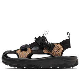 Кроссовки msd cp 'brown black' Converse, коричневый 34201840 | brown/black