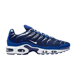 Nike Кроссовки Air Max Plus 'Arctic Chill', синий cw7024 400 | arctic chill