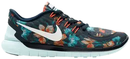 Кроссовки Nike Free 5.0 Photosynthesis, синий 724516 401 | blue