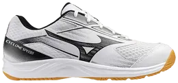 Кроссовки Mizuno Cyclone Speed 5 'White Black', белый v1ga258055 | white