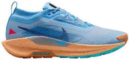 Кроссовки Nike Pegasus Trail 5 GORE-TEX 'Blue Beyond Copper Moon', синий fq0908 400 | blue