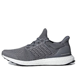 Кроссовки ultraboost clima Adidas, серый cg7083 | gray/white