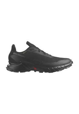 Кроссовки Alphacross 5, GORE-TEX, мужские Salomon, цвет Black Black 0195751411660 | black black