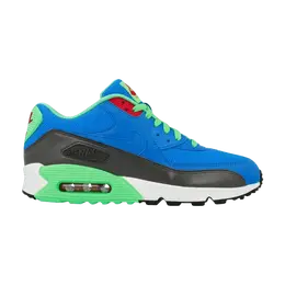 Кроссовки Nike Air Max 90 Essential 'Photo Blue', синий 537384 404 | photo blue/medium ash/poison green