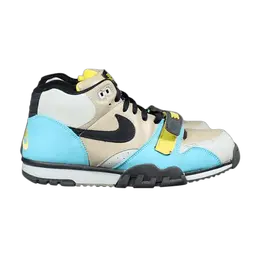 Кроссовки Nike Air Trainer 1 SB, желто-коричневый 306193 201 | bamboo/black