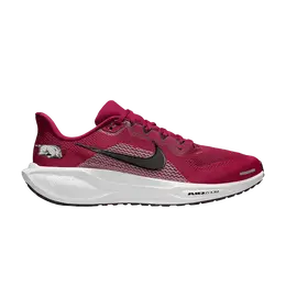 Кроссовки Nike NCAA x Air Zoom Pegasus 41 'Arkansas', красный ib3246 600 | team red/white/black