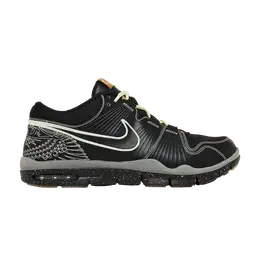 Кроссовки Nike Trainer 1 P.E 'Lights Out', черный 387150 003 | black/black-glow-metallic gold