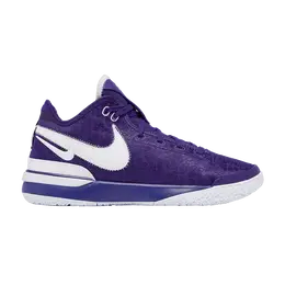 Кроссовки Nike Zoom LeBron NXXT Gen TB Promo 'Team Purple', фиолетовый fn7092 500