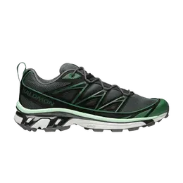 Кроссовки Salomon XT-6 Expanse 'Eden Black Metal', серый l47288600 | eden/black/metal