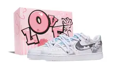 Nike Кроссовки для скейтбординга Court Vision 1 Low Top, мужские, белые dh2987-101(team441-男款缚风-限定礼盒1) | white