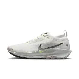Nike Кроссовки Pegasus Trail 5 Gore Tex Summit White Light Silver College Grey Sequoia fq0908-102 | beige