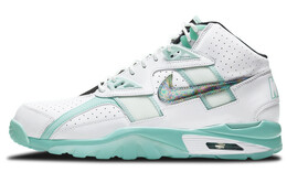 Мужские баскетбольные кроссовки Nike Air Trainer SC Vintage dd9615-100