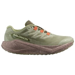 Aero Blaze 3 Grvl GTX - кроссовки для бега Salomon, мультиколор 023-2526 | tea / iron / burnt ochre