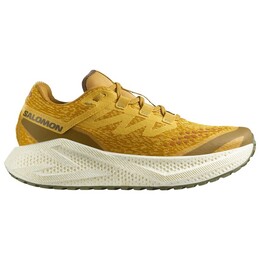 Aero glide 3 grvl - кроссовки для бега Salomon, мультиколор 023-2281 | spicy mustard / vanilla ice / deep lichen green