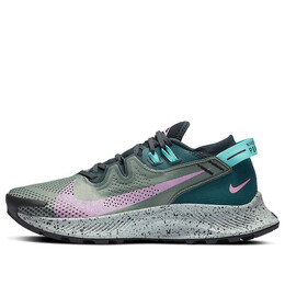 Кроссовки пегас трейл 2 Nike, серый ck4309-300 | graypurplegreen