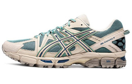 Мужские кроссовки Asics Gel-Kahana 8 1011b109-300