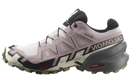Salomon Скоростные кроссовки Speedcross 6 Gore Tex 'Розовые' / L00 Женские 417436