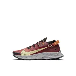 Кеды Nike Pegasus Trail 2, размер EU 39 стопа (24.5CM) 4301231151