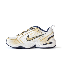 Nike Air Monarch 4 противоскользящие износостойкие низкие массивные кроссовки унисекс белый цвет, цвет White 415445-102(team189-那年冬) | white