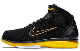 Мужские баскетбольные кроссовки Nike 2K4 Vintage 308475-003
