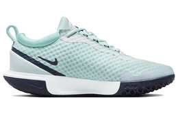 Теннисные кроссовки Nike Court Zoom Pro для мужчин dh0618-400