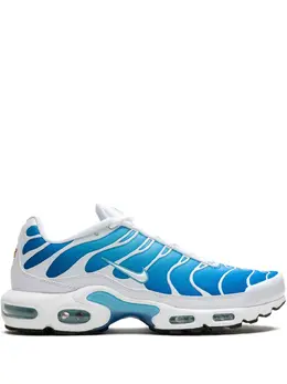Кроссовки Air Max Plus Blue Gaze Nike, синий 23241374 | синий