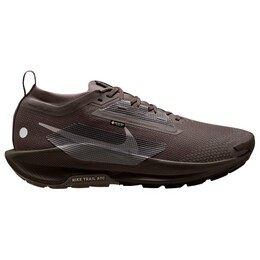 Pegasus Trail 5 Gore-Tex - кроссовки для бега по пересеченной местности Nike, мультиколор 023-2098 | ironstone / college grey / velvet brown