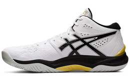 Мужские тренировочные кроссовки Asics Sky Elite FF 1051a032-100