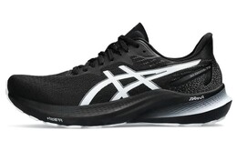 Кроссовки Asics GT-2000 12 Мужчины, Черный 1011b691-006 | black