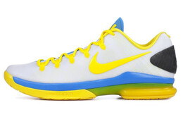 Мужские баскетбольные кроссовки Nike KD 5 585386-100