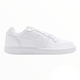 Мужские кроссовки Nike Ebernon Low, белый aq1775-100 white