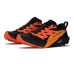 Кроссовки для бега Salomon Sense Ride 5 GORE-TEX Trail, черный sal5853 | black