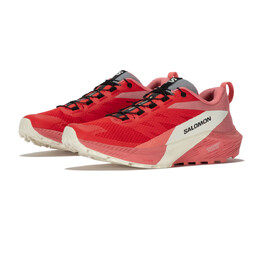 Кроссовки для бега Salomon Sense Ride 5 Trail, красный sal5880 | red