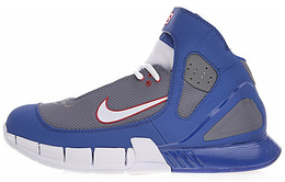 Мужские баскетбольные кроссовки Nike 2K5 Vintage 310850-011