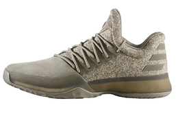 Мужские баскетбольные кроссовки Adidas Harden Vol.1 bw0550
