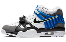 Женские баскетбольные кроссовки Nike Air Trainer 3 Vintage cn9750-100