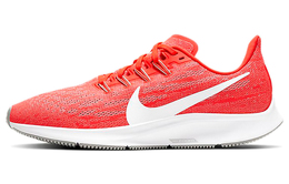 Мужские кроссовки для бега Nike Pegasus 36 aq2203-602