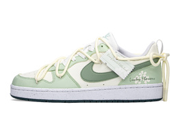 Кроссовки Nike Court Borough Series Skateboard Shoes Women's Low-Top White/Green dv5456-102