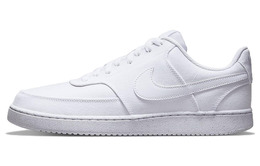Мужские кроссовки для скейтбординга Nike Court Vision dj6260-100