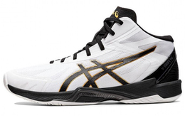 Кроссовки Asics унисекс 1053a044-100